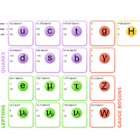 The Standard Model