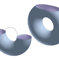 Differential Topology