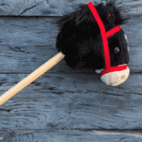 Hobby Horse