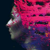 Steven Wilson - Hand. Cannot. Erase.