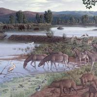 Pliocene