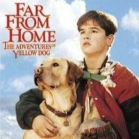 Far from Home: The Adventures of Yellow Dog