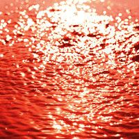 Blood Rain