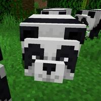 Lazy Panda