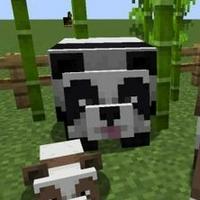 Playful Panda