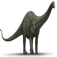 Apatosaurus