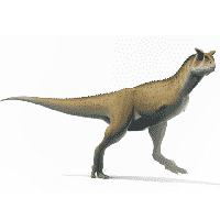 Carnotaurus