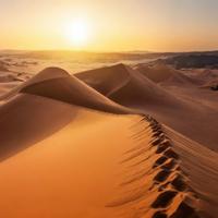 The Sahara