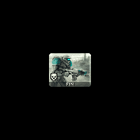 Fin