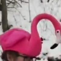 Jonathan Flamingo