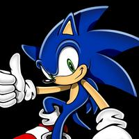 Sonic The Hedgehog (Unleashed, Black Knight)