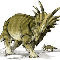 Styracosaurus