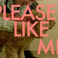 Please Like Me Intro