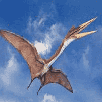 Quetzalcoatlus