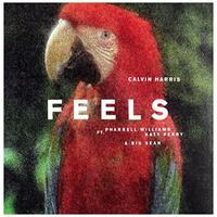 Calvin Harris - Feels