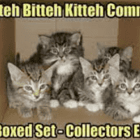 itteh bitteh kitteh committeh