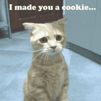 I Made You a Cookie, But I Eated It