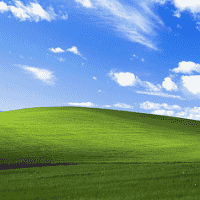 Windows XP Bliss Wallpaper