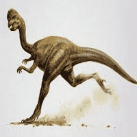 Oviraptor