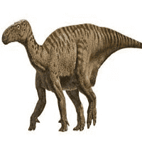 Iguanodon