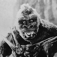 Kong