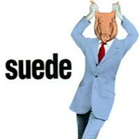 Suede - Animal Nitrate