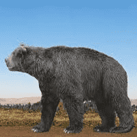 Arctotherium