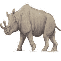 Megacerops