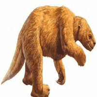 Giant Ground Sloth