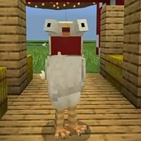 Amico Pollo