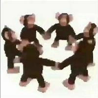 Happy Monkey Circle