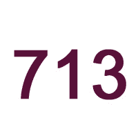 713