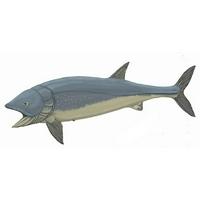 Leedsichthys