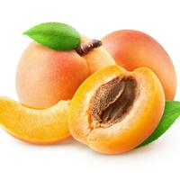 Apricot