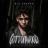 NLE Choppa - Shotta Flow