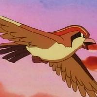 Ash's Pidgeot