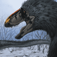 Yutyrannus