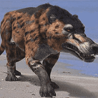 Andrewsarchus