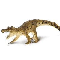 Kaprosuchus