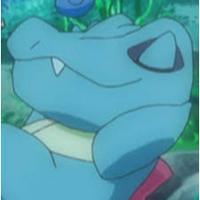 Ash's Totodile