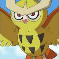 Ash's Noctowl