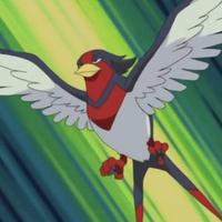 Ash's Swellow