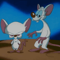 Pinky and The Brain Intro