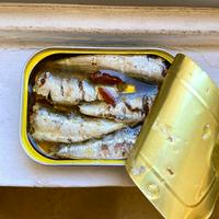 Canned Sardines