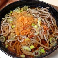 Tanuki Soba