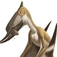 Dsungaripterus