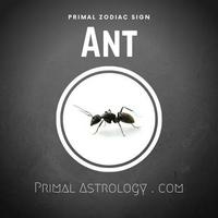 Ant (Primal Astrology)