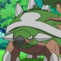 Ash's Torterra