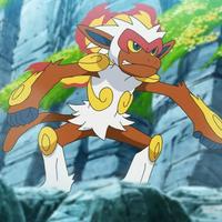 Ash's Infernape