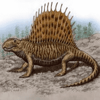 Dimetrodon